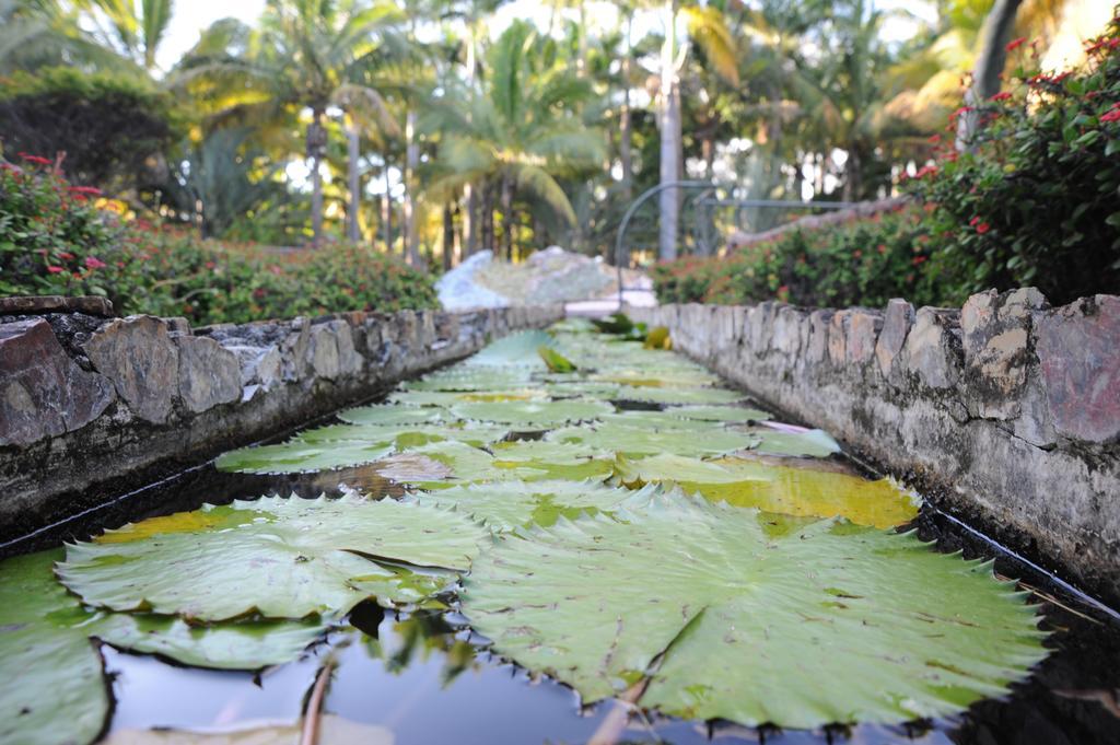 Le Domaine Des Pierres Hotel Saint Pierre Buitenkant foto